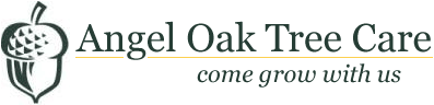 Avatar for Angel Oak Tree Care