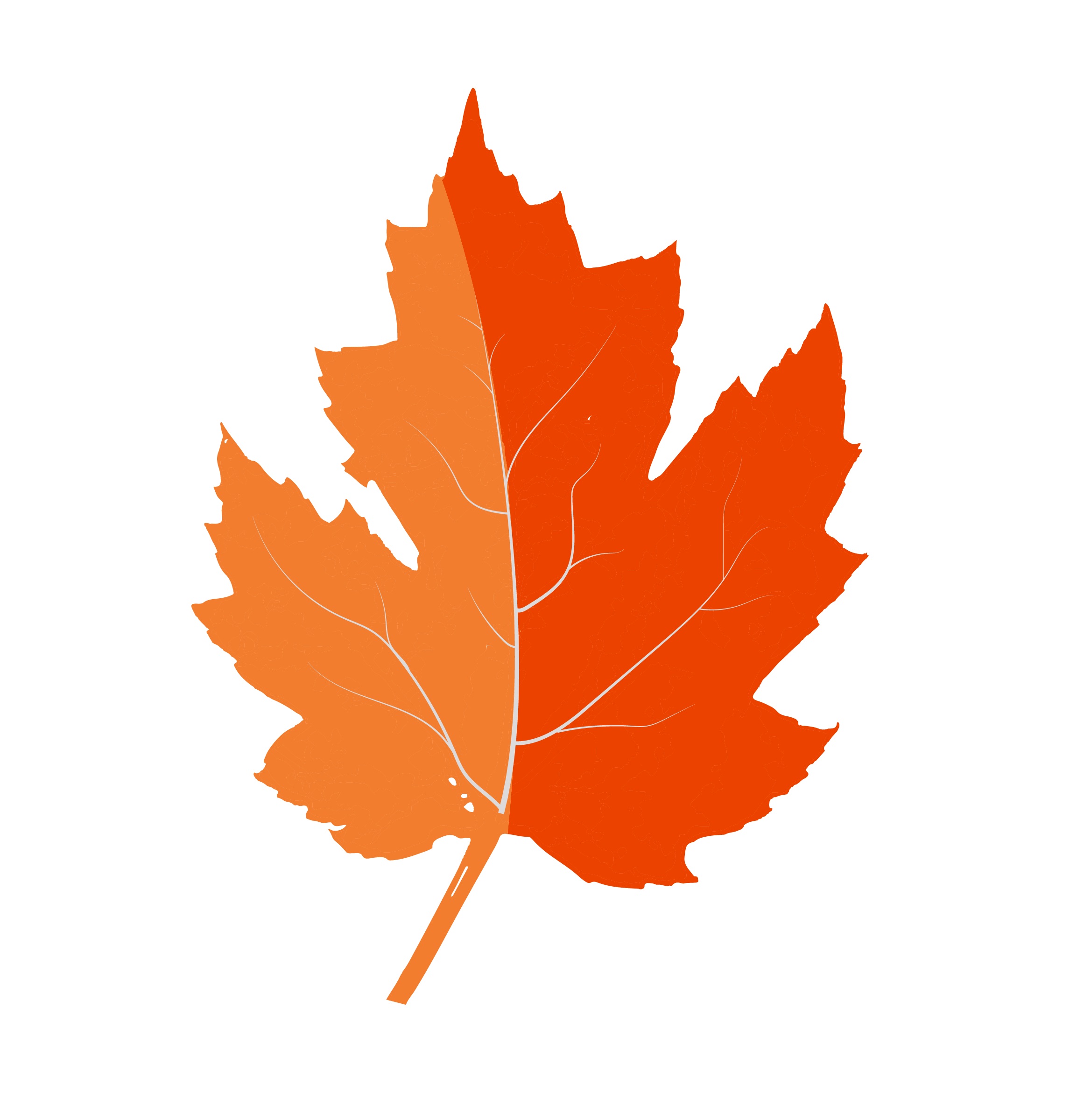 Avatar for Christian Outdoor Services, LLC