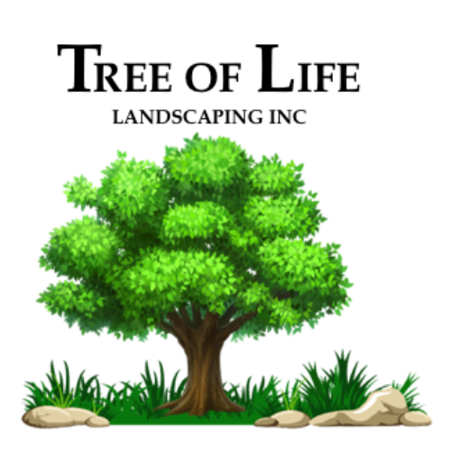 Avatar for Tree of life landscaping and Remodeling