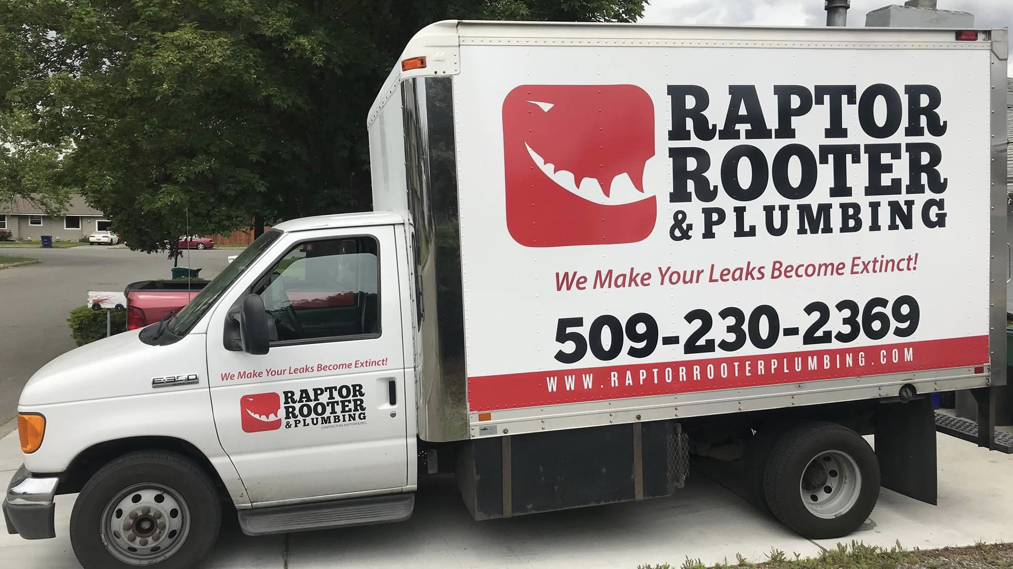 Avatar for Raptor Rooter & Plumbing, LLC