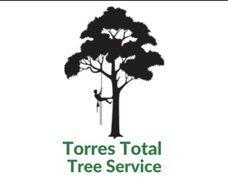 Avatar for Torres Total Tree Service