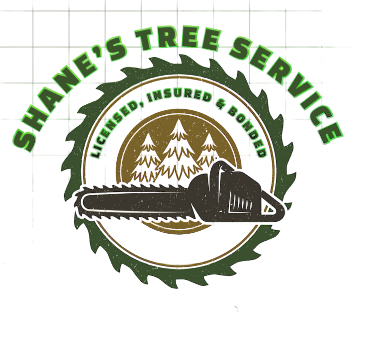 Avatar for Shanes Tree Service