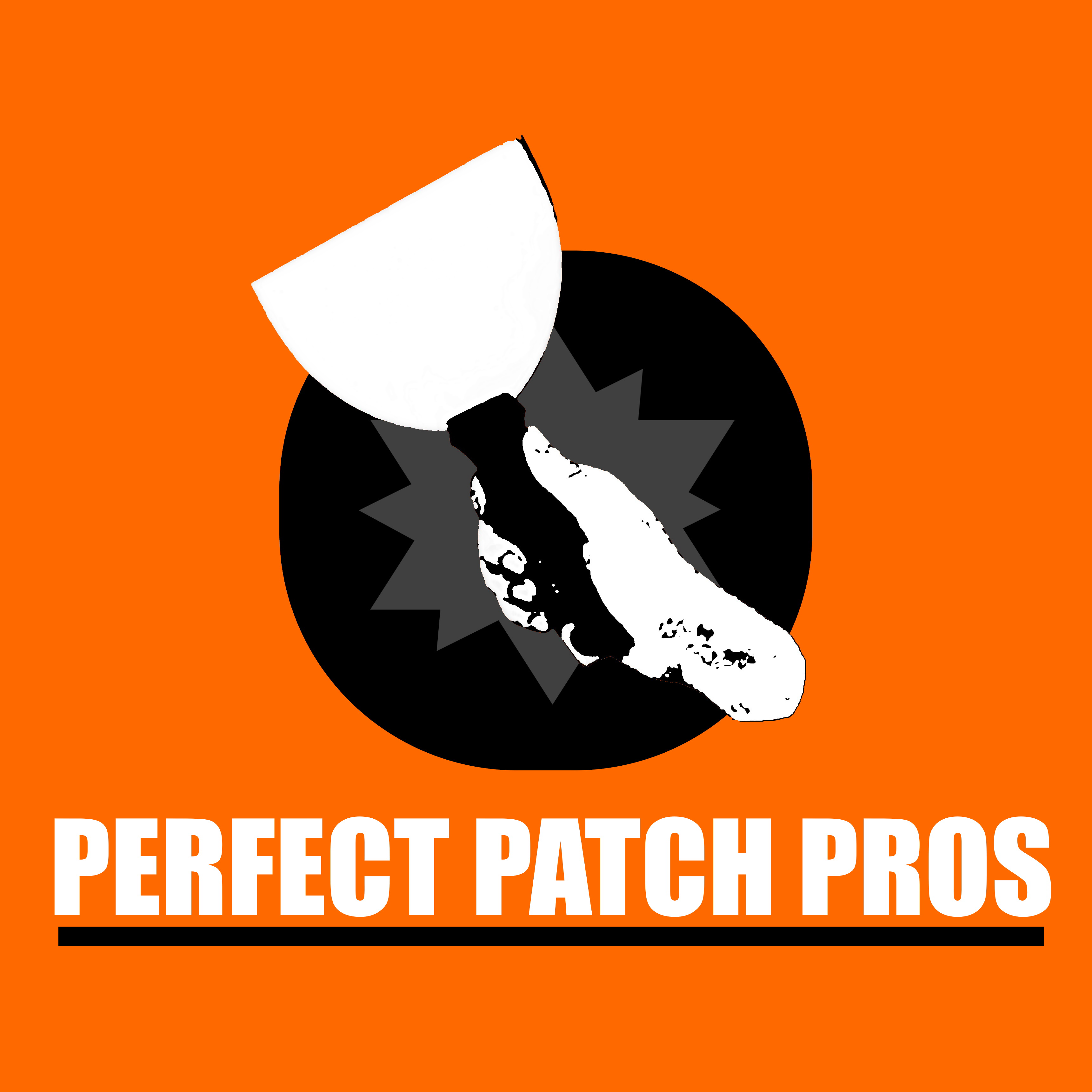 Avatar for Perfect Patch Pros