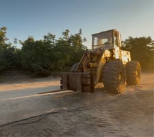 Avatar for Rollins LD