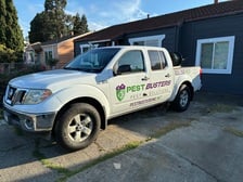 Avatar for Pest Busters Pest Solutions