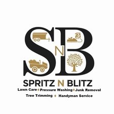 Avatar for Spritz N Blitz