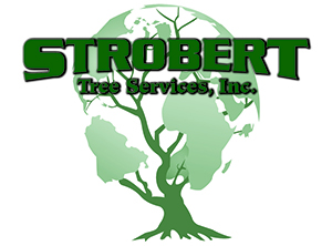 Avatar for Strobert Tree Services Inc