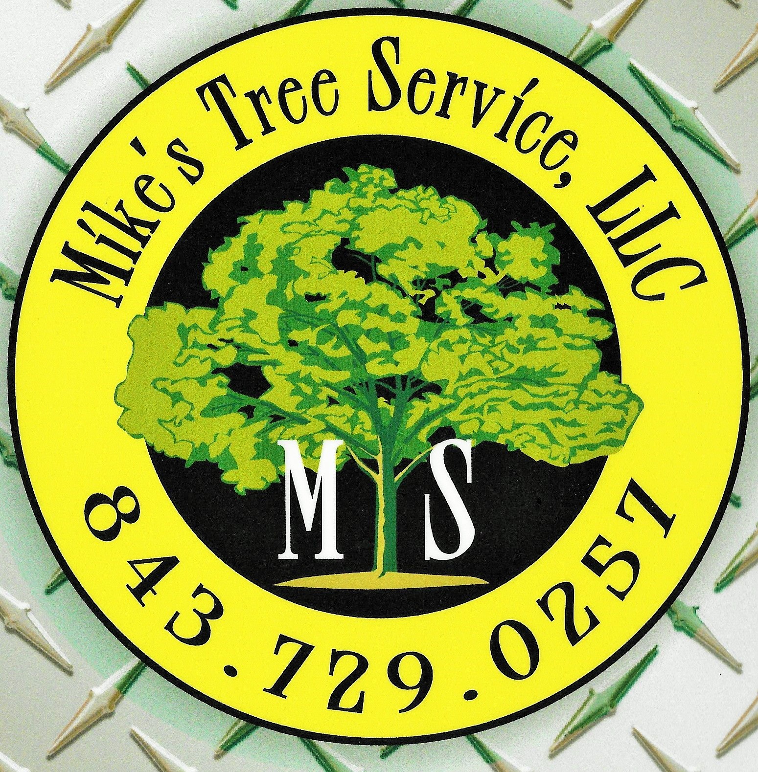 Avatar for Mike's Tree Service & Stump Removal LLC