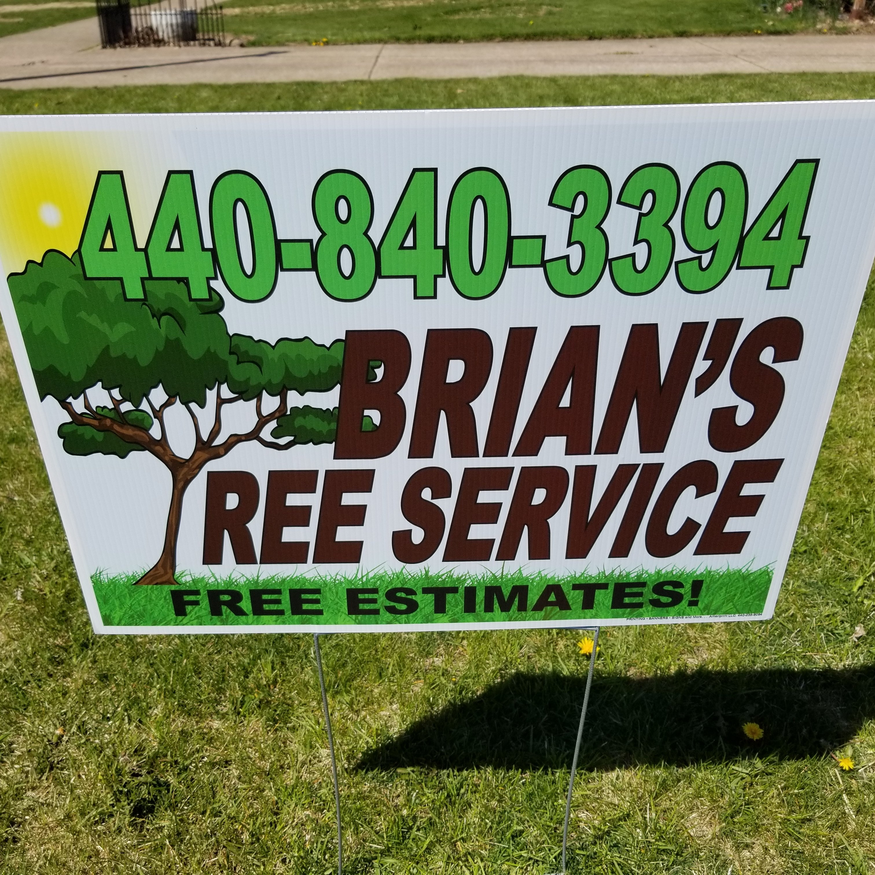 Logo for Brian's Tree Service