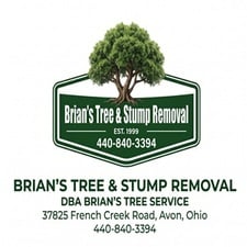Avatar for Brian's Tree & Stump Removal