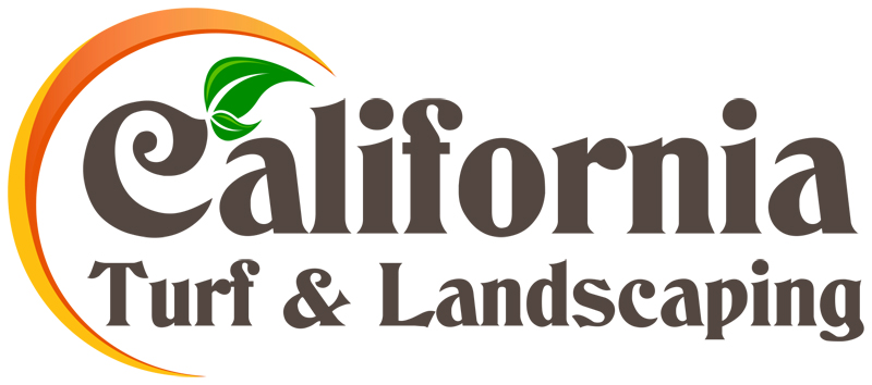 Avatar for CALIFORNIA TURF AND LANDSCAPING
