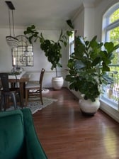 Avatar for Gilma's Cleaning LLC