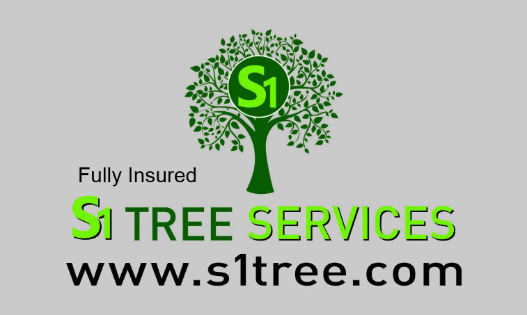 Avatar for S1 Tree Services, Inc.