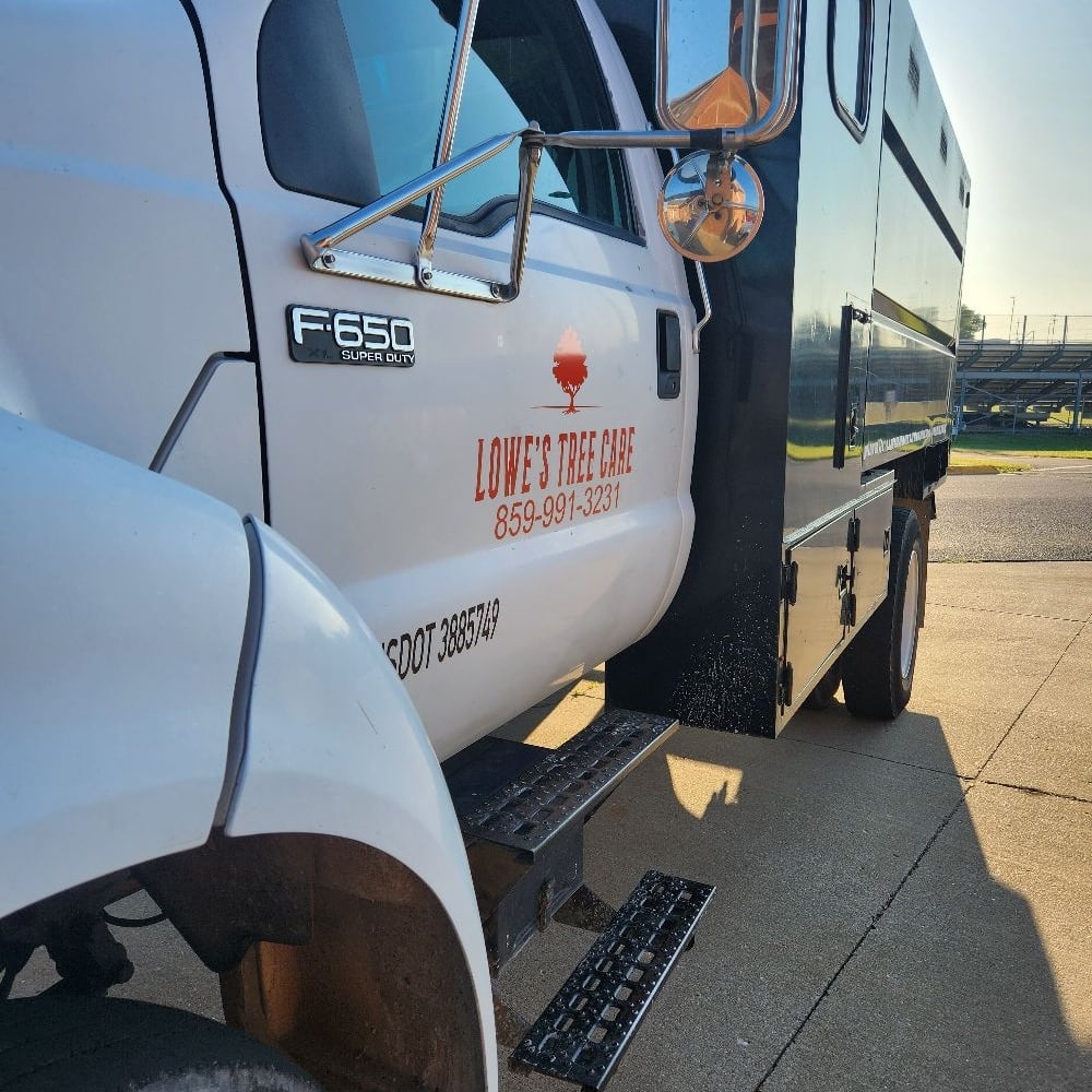 Avatar for Lowe's Tree Care Service