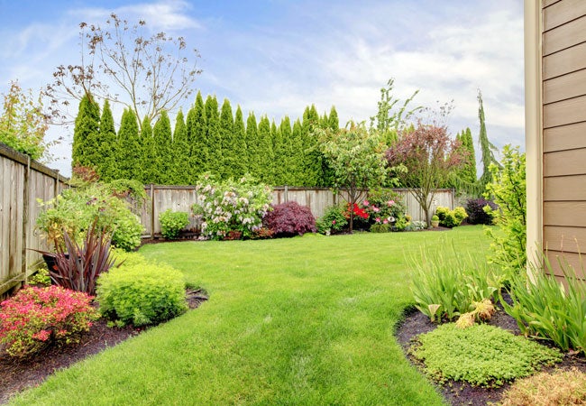 Avatar for Suazo Landscaping & Irrigation