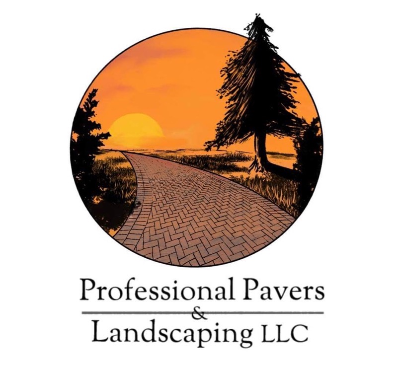 Avatar for Professional Pavers and Landscaping
