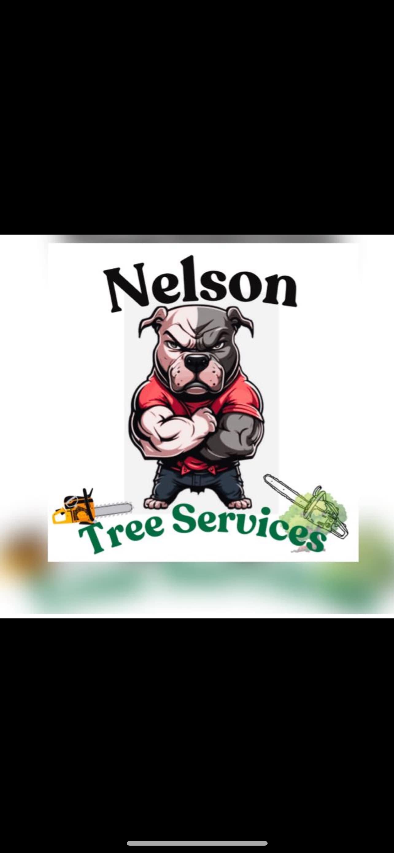 Avatar for Chilo Tree Services