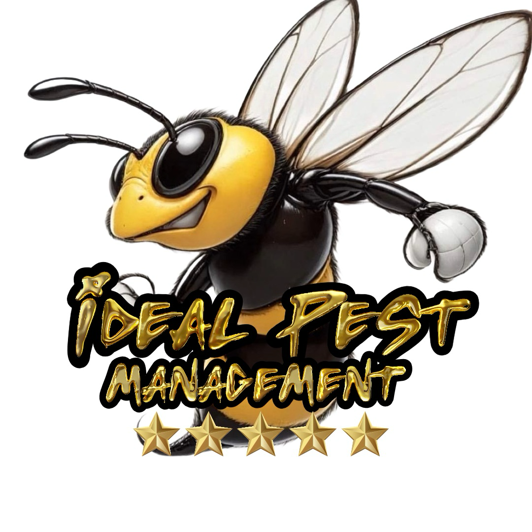 Avatar for Ideal Pest Management LLC