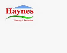 Avatar for Haynes Cleaning & Restoration