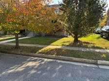 Logo for A1 services