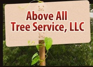 Avatar for Above All Tree Service