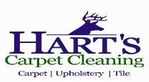 Avatar for HARTS CARPET CLEANING