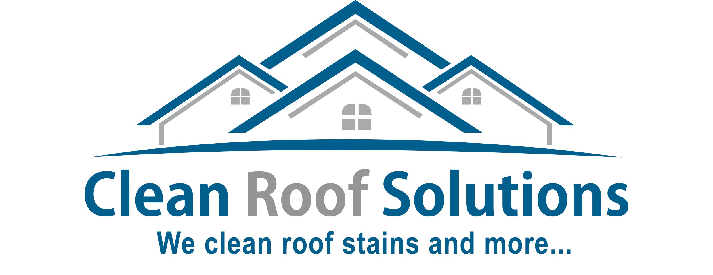 Avatar for Clean Roof Solutions