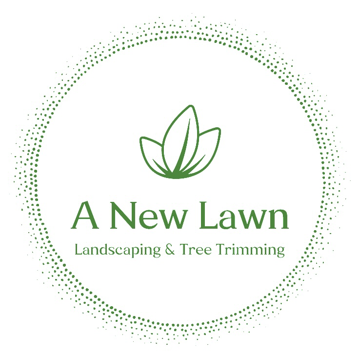 Avatar for A New Lawn