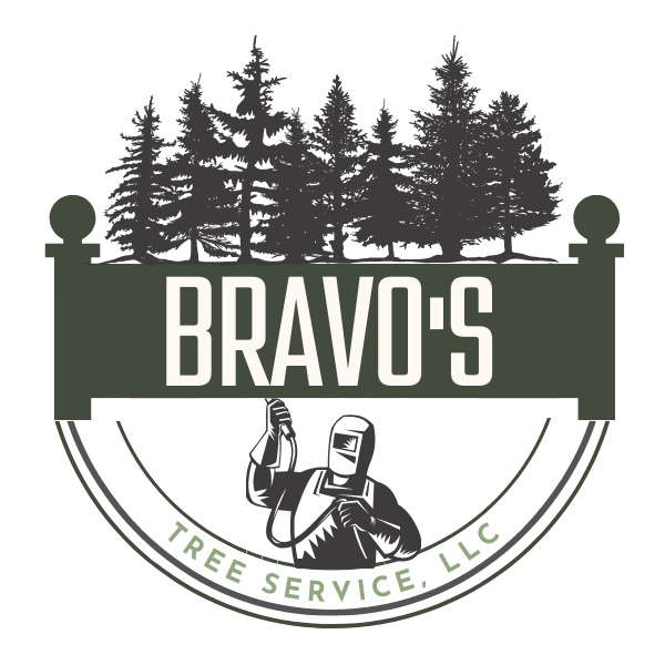 Avatar for Bravo's Tree Service, LLC