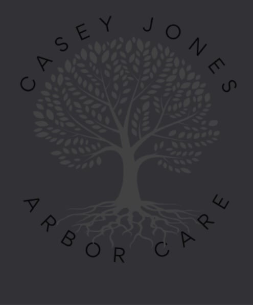 Avatar for Casey Jones Arbor Care