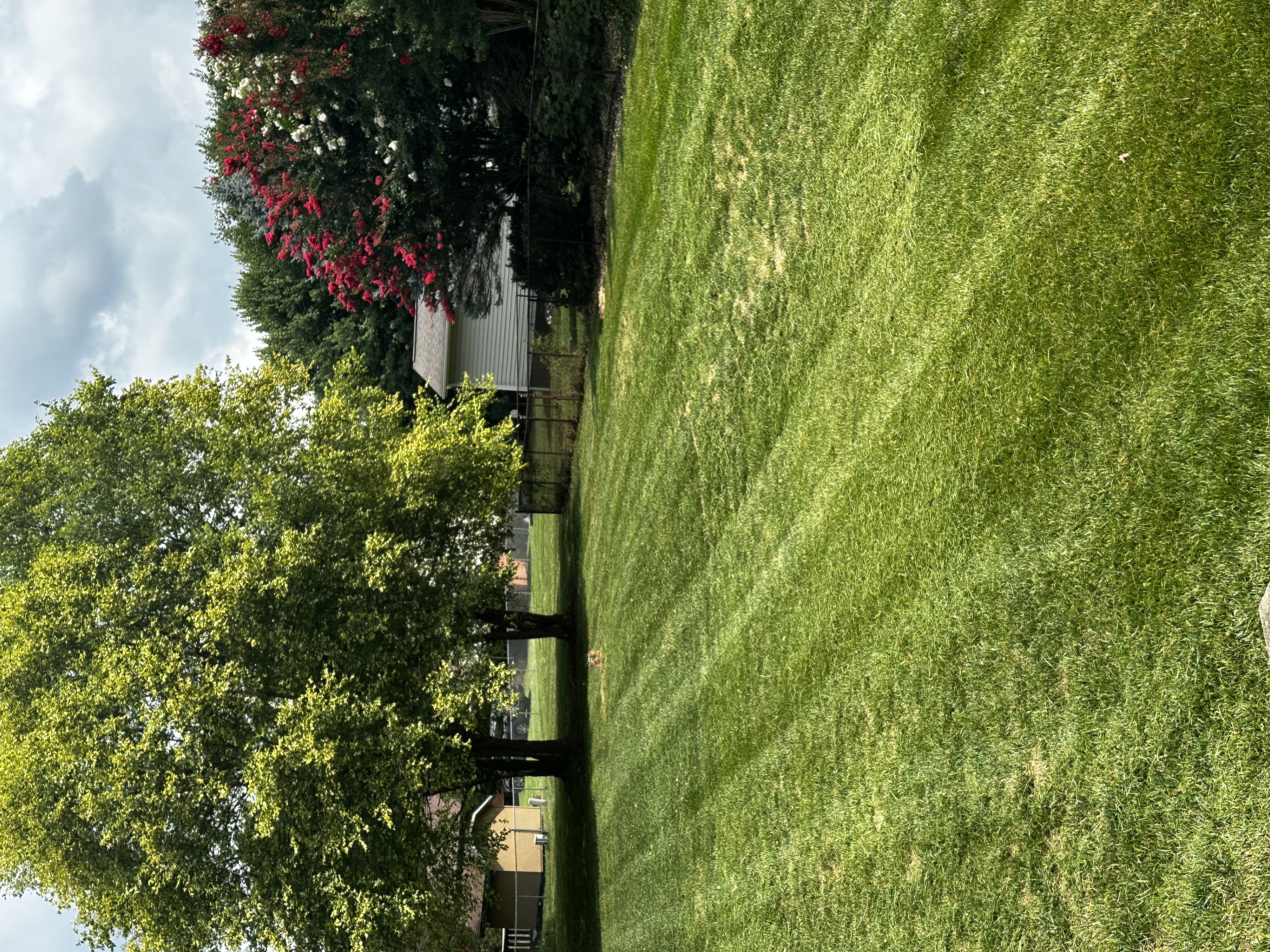 Avatar for Turner's Lawn Care