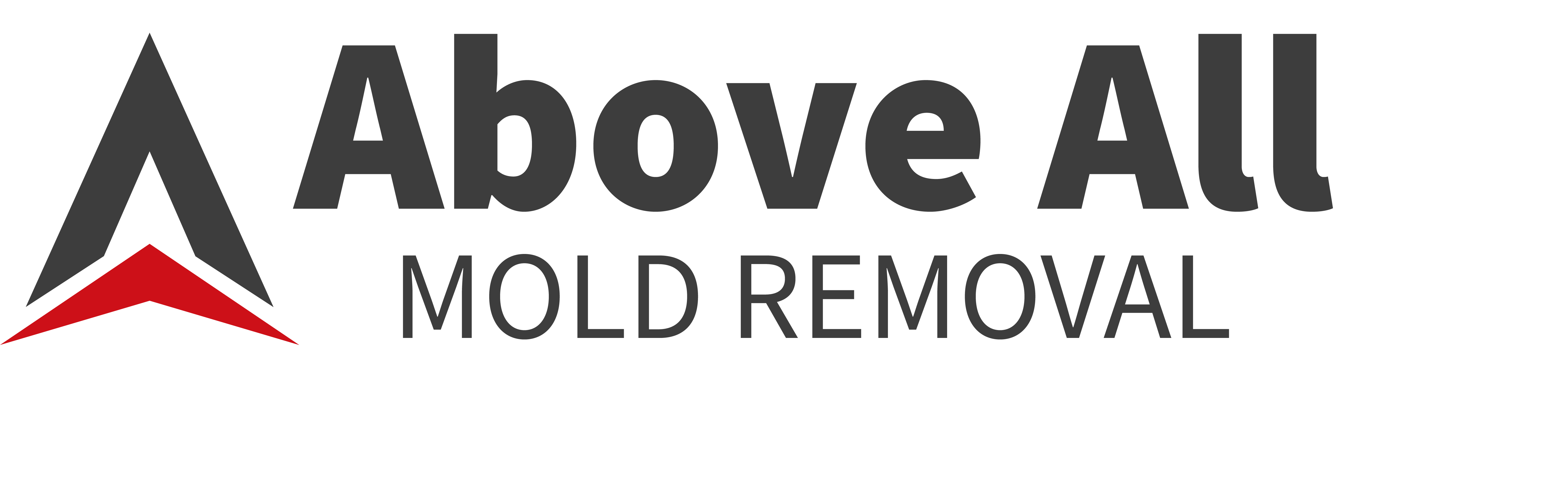 Avatar for Above All Mold Removal