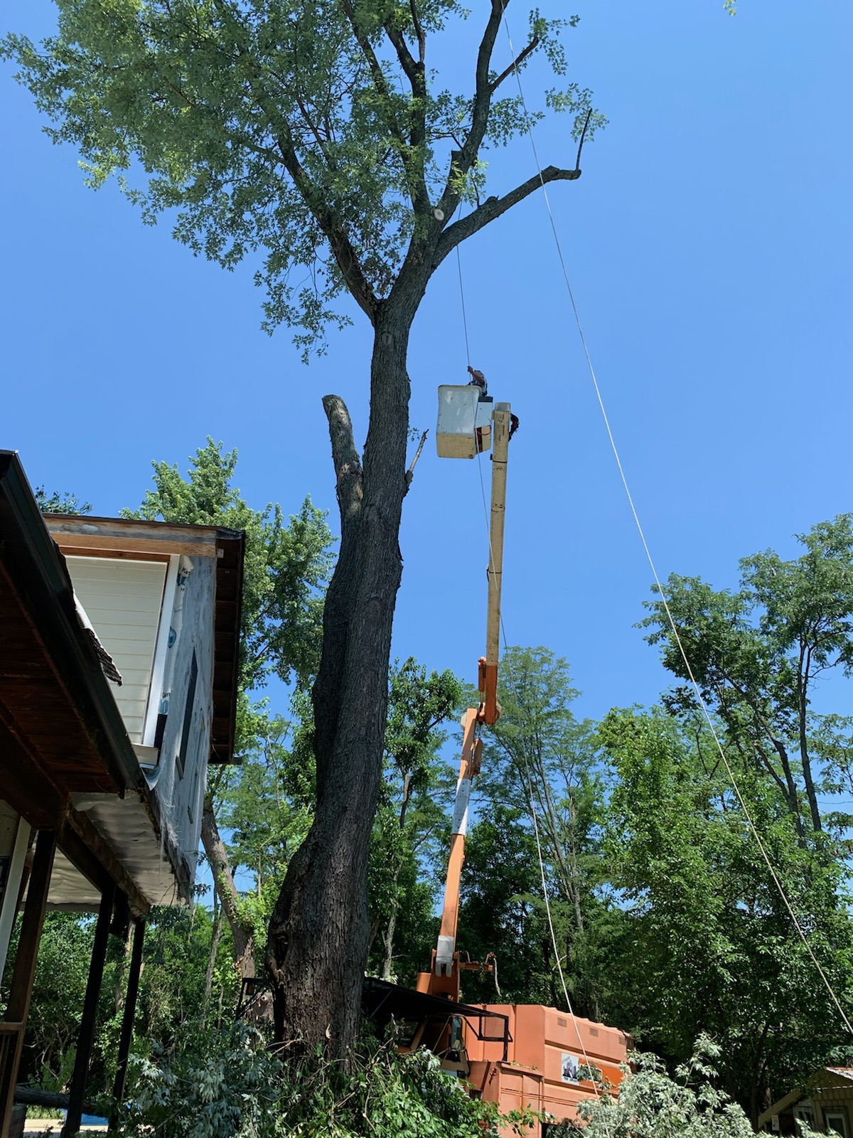 Avatar for Ideal Cut & Trim LLC