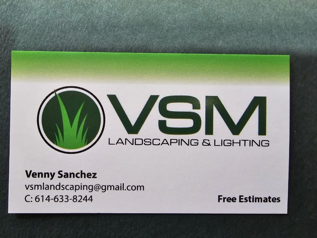VSM Landscaping and Lighting LLC logo