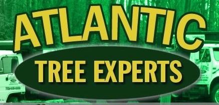 Logo for Atlantic Tree Experts
