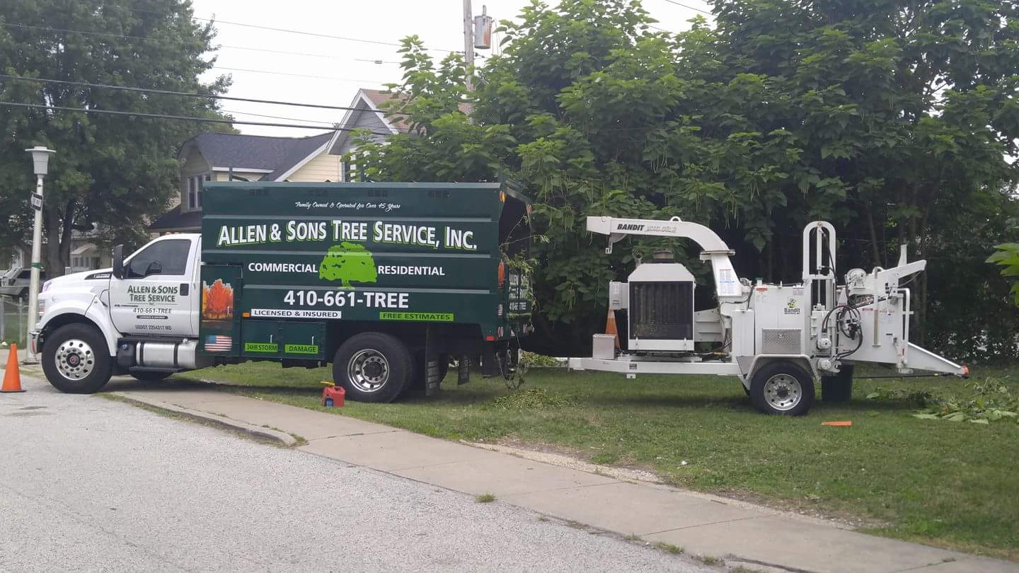 Avatar for Allen & Son's Tree Service