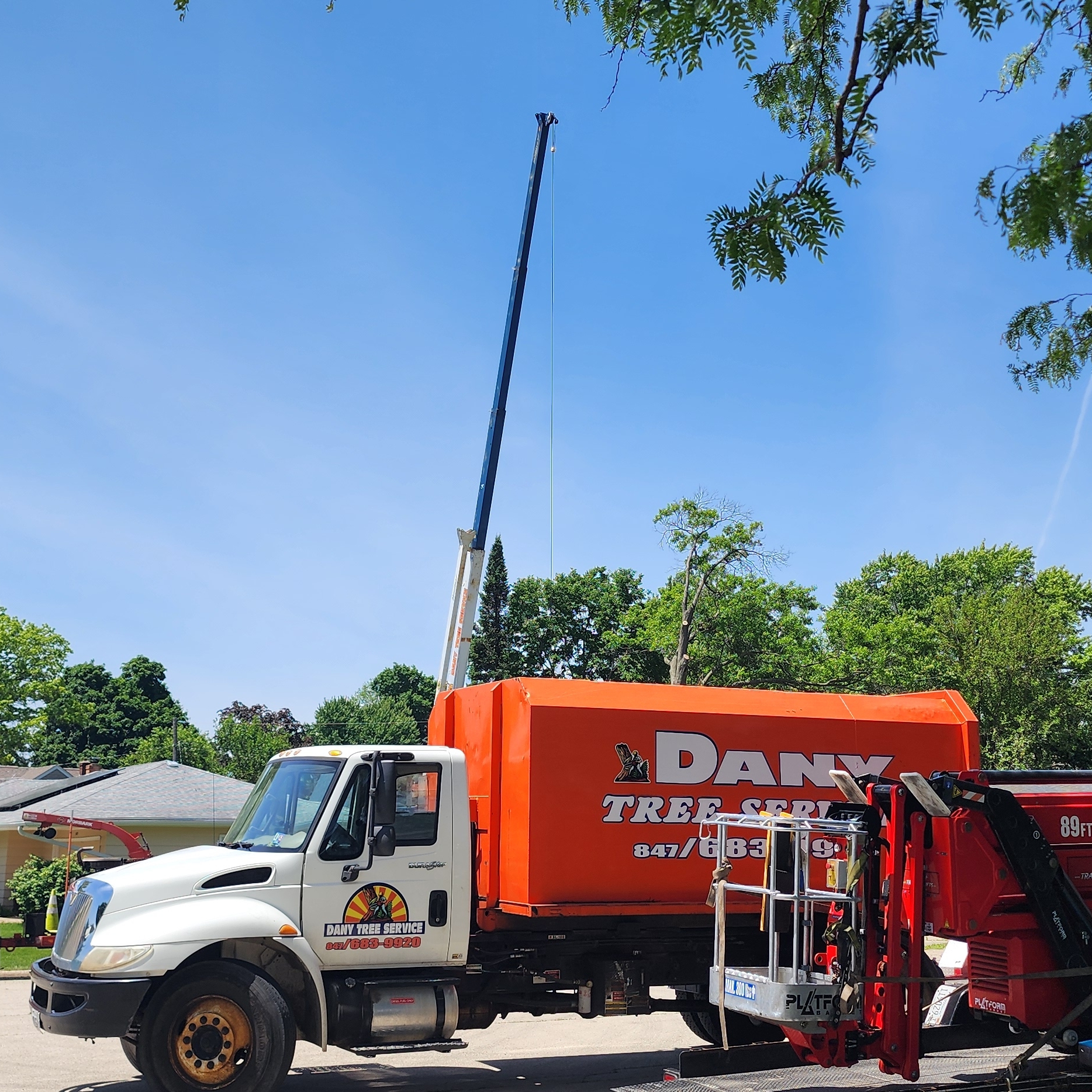 Logo for Dany Tree Service Inc.