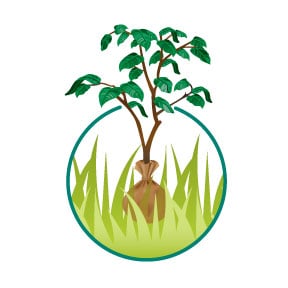 Avatar for Moyers Lawn Service & Landscaping