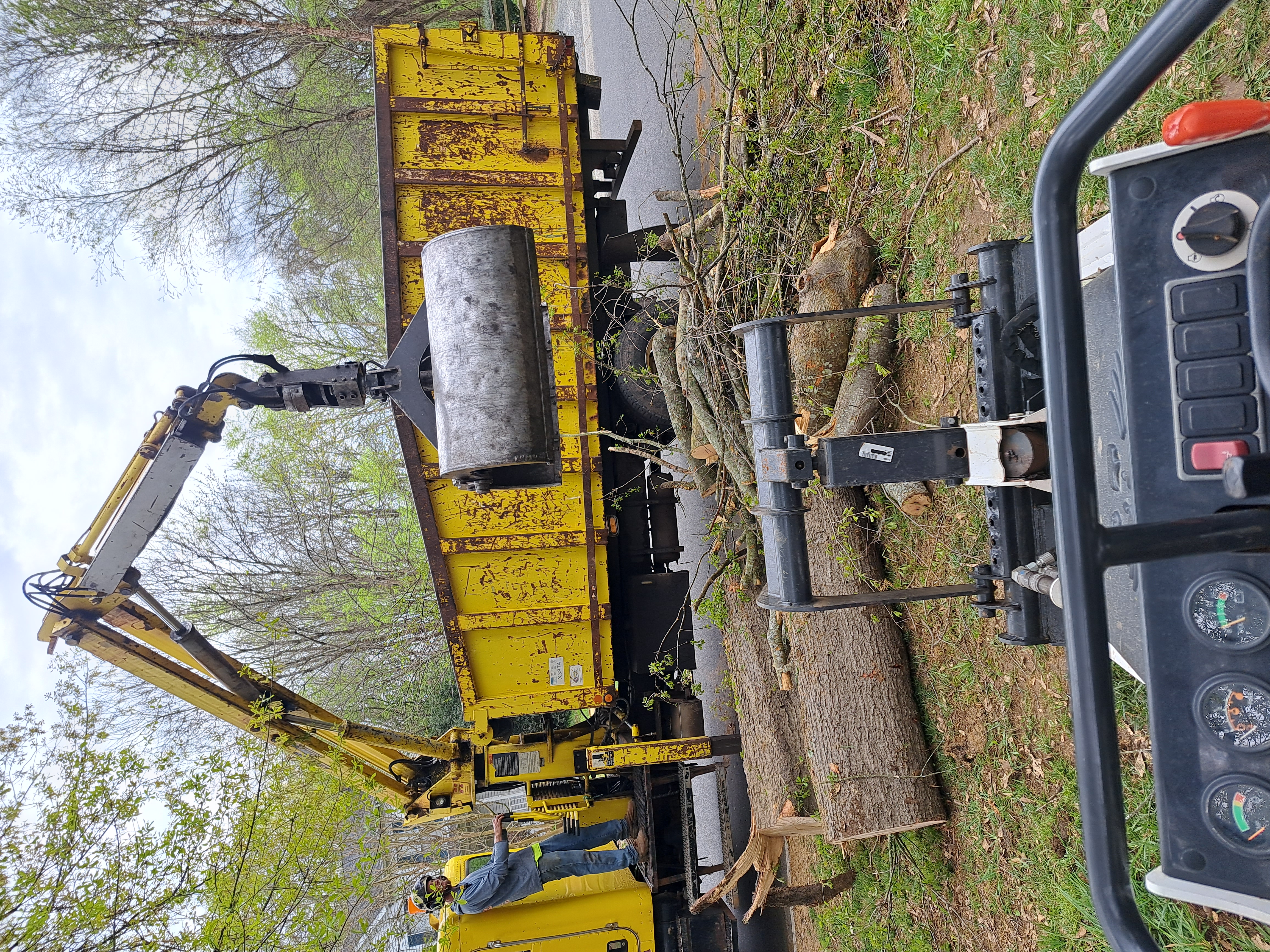 Avatar for Spaulding Tree Service