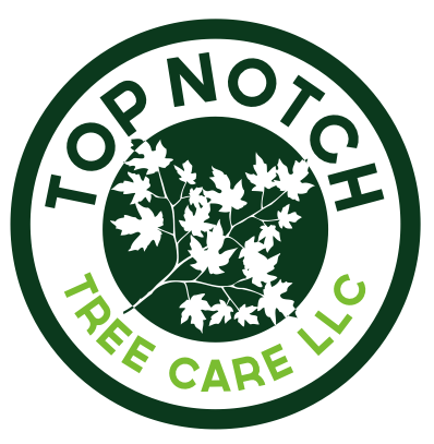 Avatar for Top Notch Tree Care