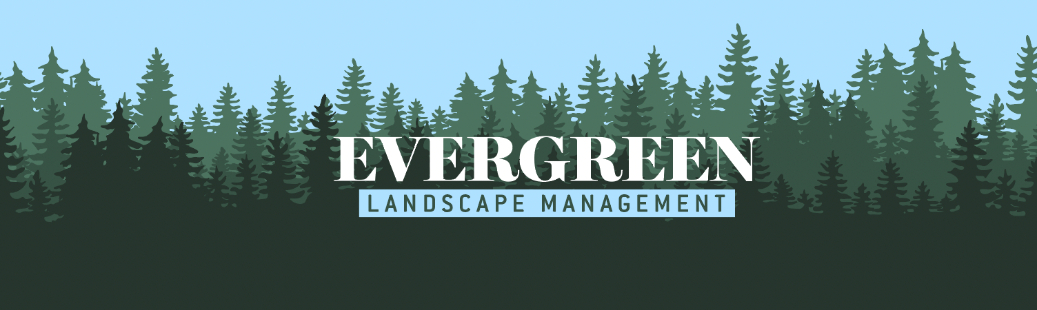 Avatar for EVERGREEN LANDSCAPE MGMT INC