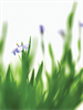 Avatar for Landscape Designs by Ronnie, Inc.