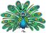 Avatar for Peacock Painting