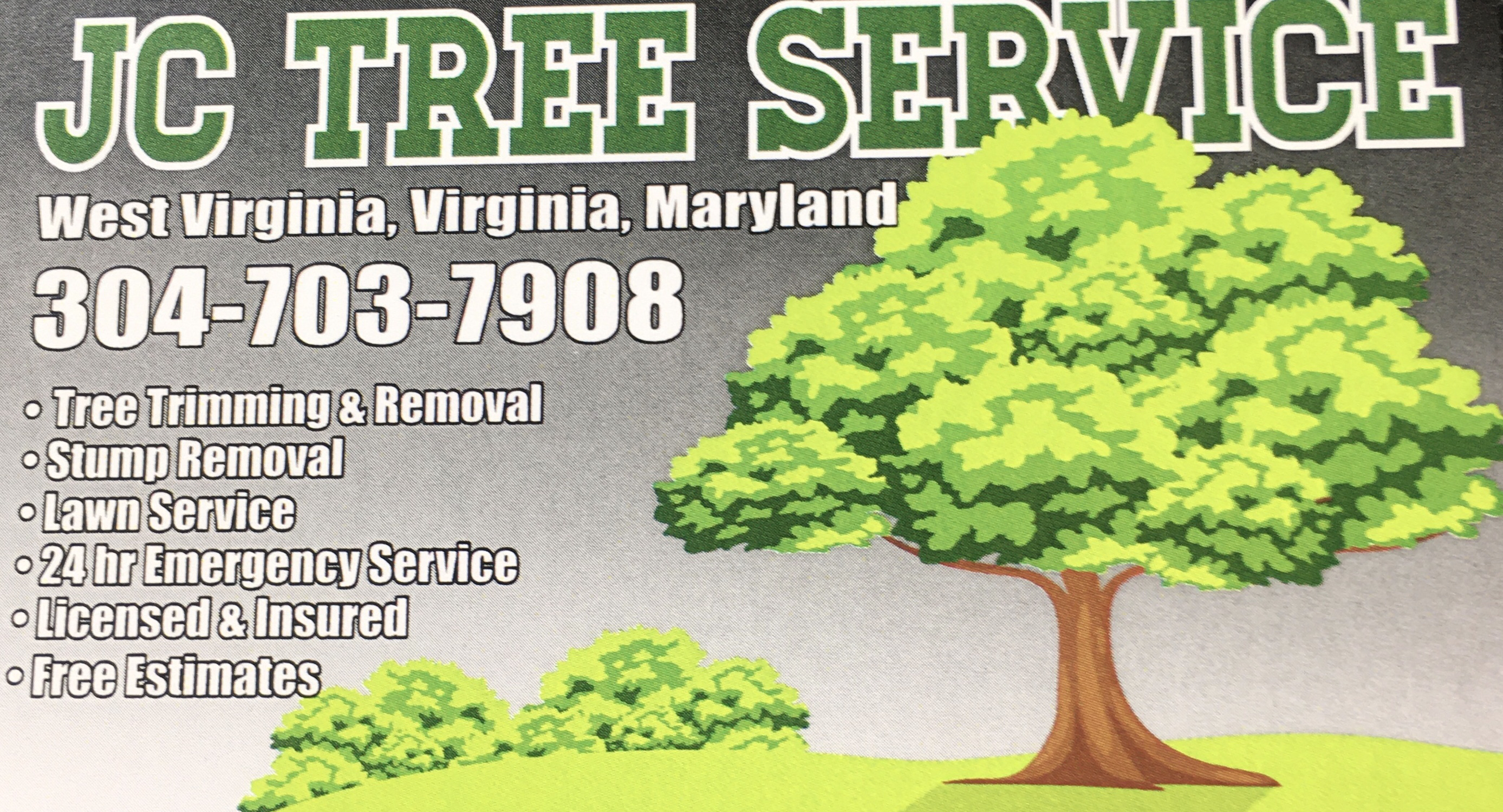 Avatar for JC Tree service