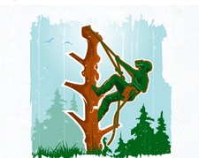 Logo for New Generation Arborist
