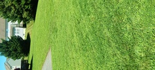 Avatar for Gregory lawncare