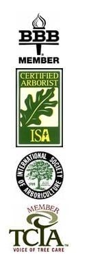 Avatar for Ross Tree Service Ltd