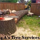 Avatar for 4 A's Tree Service