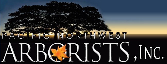 Avatar for Pacific Northwest Arborists Inc