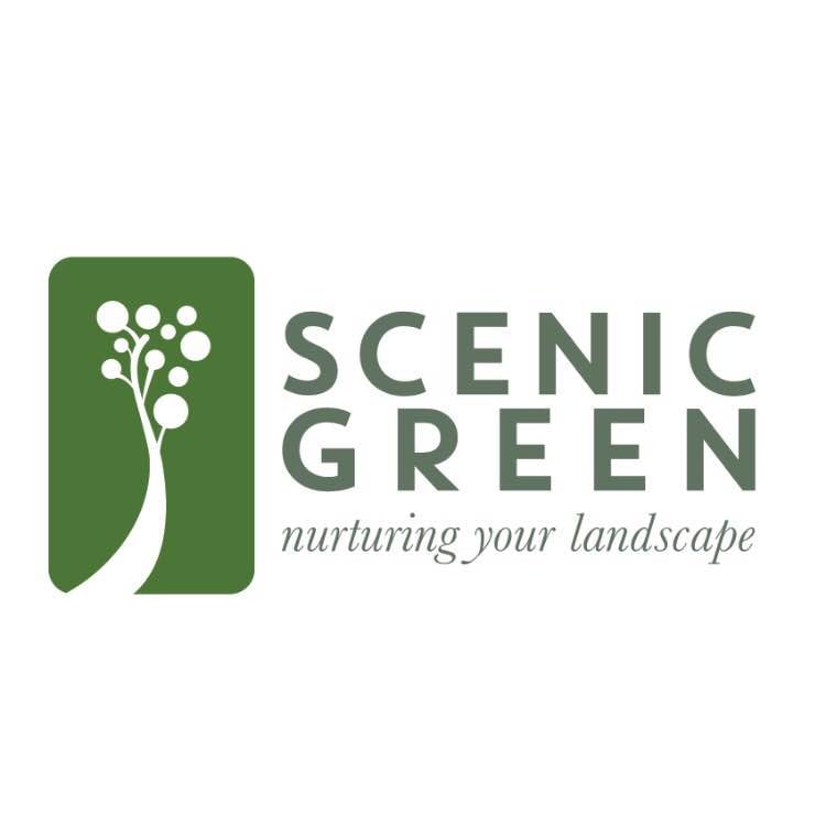 Avatar for Scenic Green